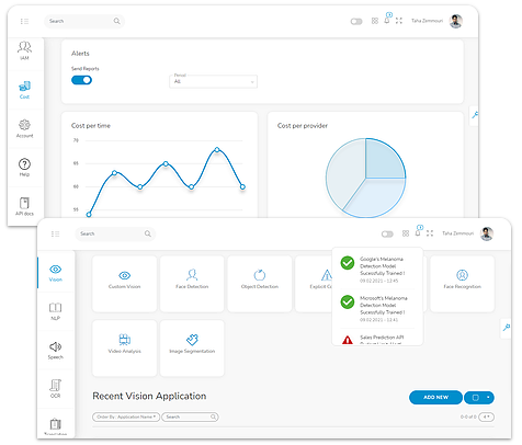 screenshot of Eden AI